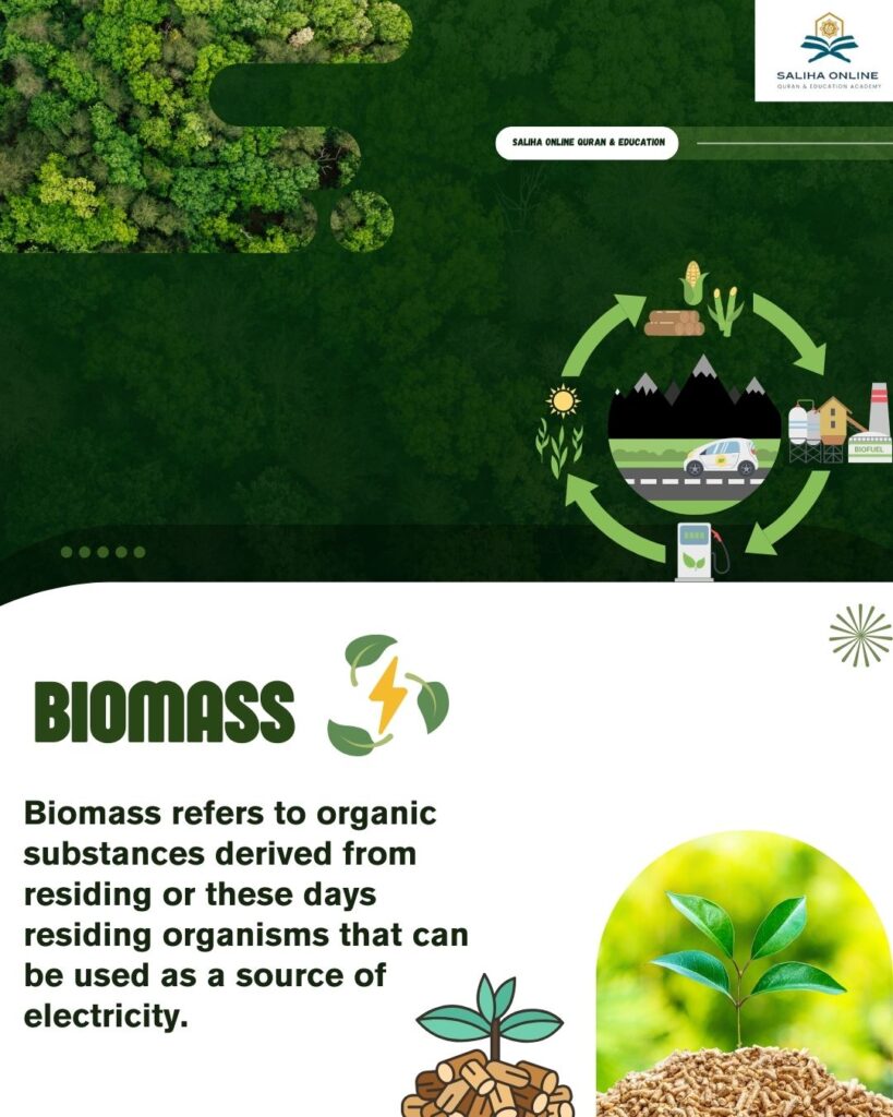 biomass