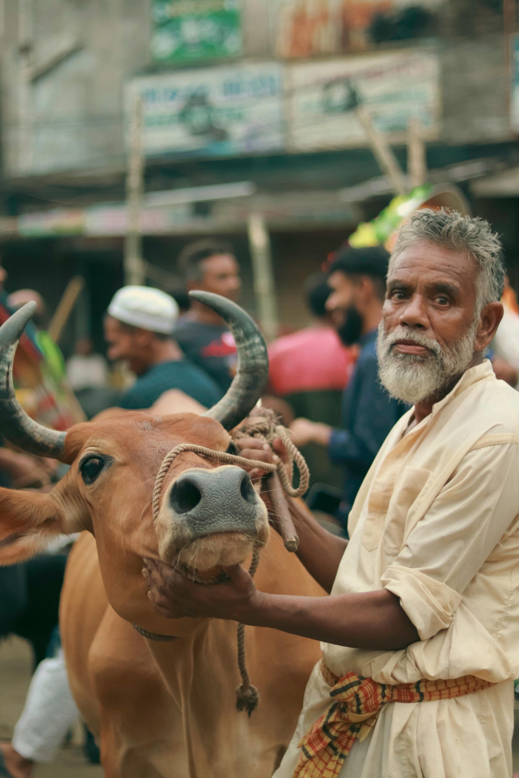 Eid ul Adha: The Festival of Sacrifice