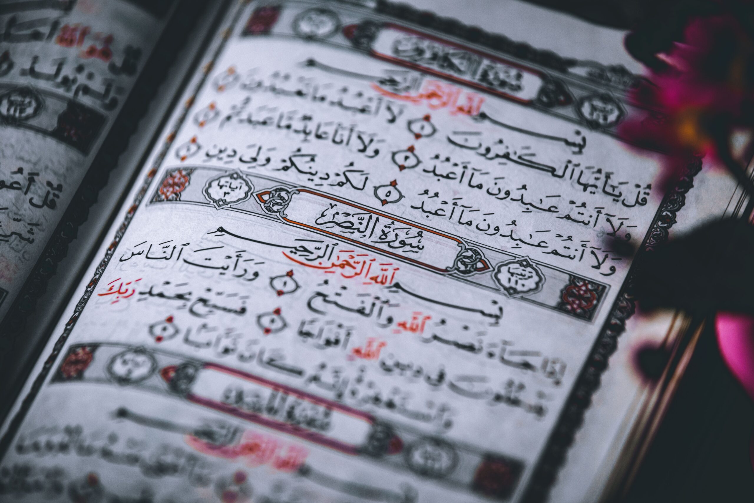 Developing a Relationship with the Qur'an